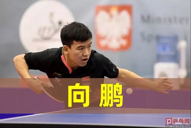 赛落幕后